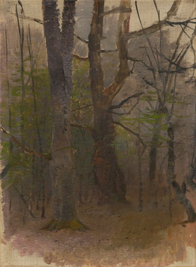 Früher Frühling. Wald von Laszlo Mednyanszky